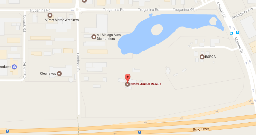 Location.PNG