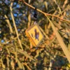 Black Cockatoo Sign Keychain - Image 2