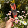 Red-Tail Black Cockatoo Feather Bookmark - Image 2