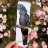 Male RTBC Bookmark - Image 3