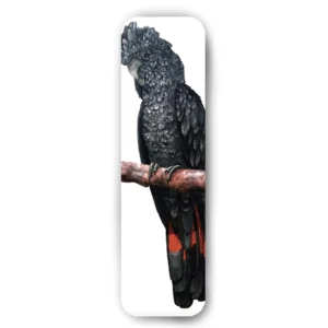 Male RTBC Bookmark